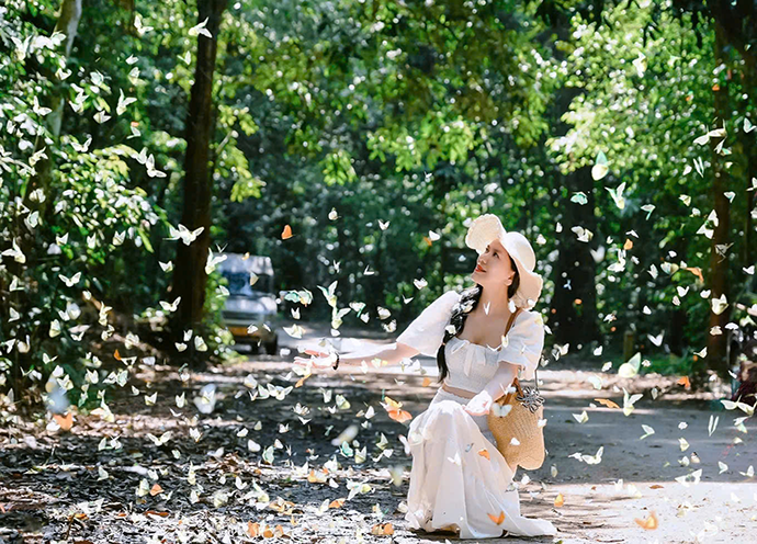 Photo tour Cúc Phương mùa bướm 1N